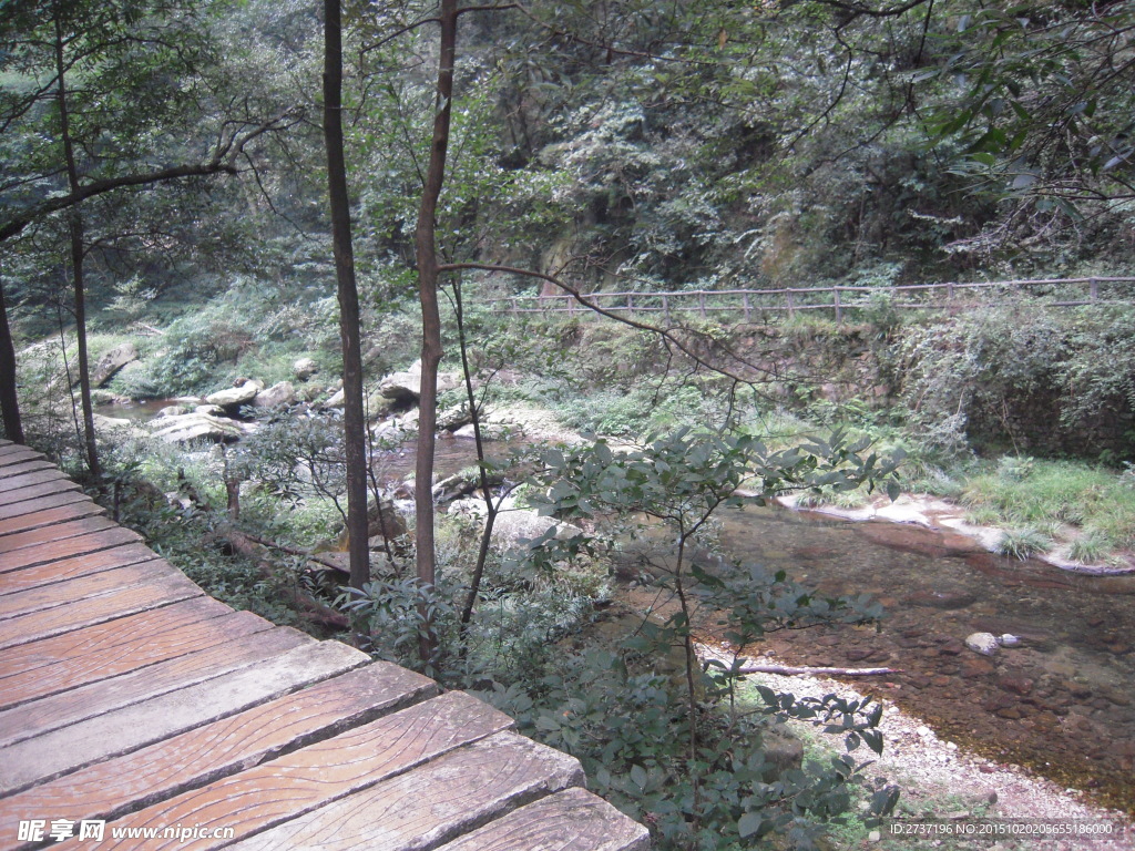 张家界武陵源森林公园