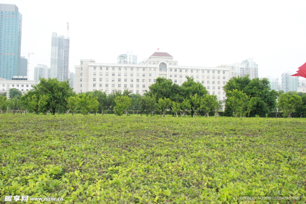 街景   街道  楼房  背景