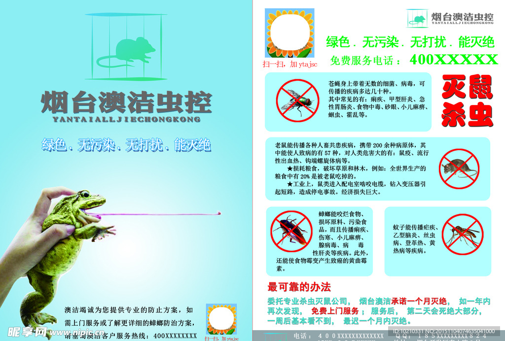 杀虫公司简洁宣传单模板