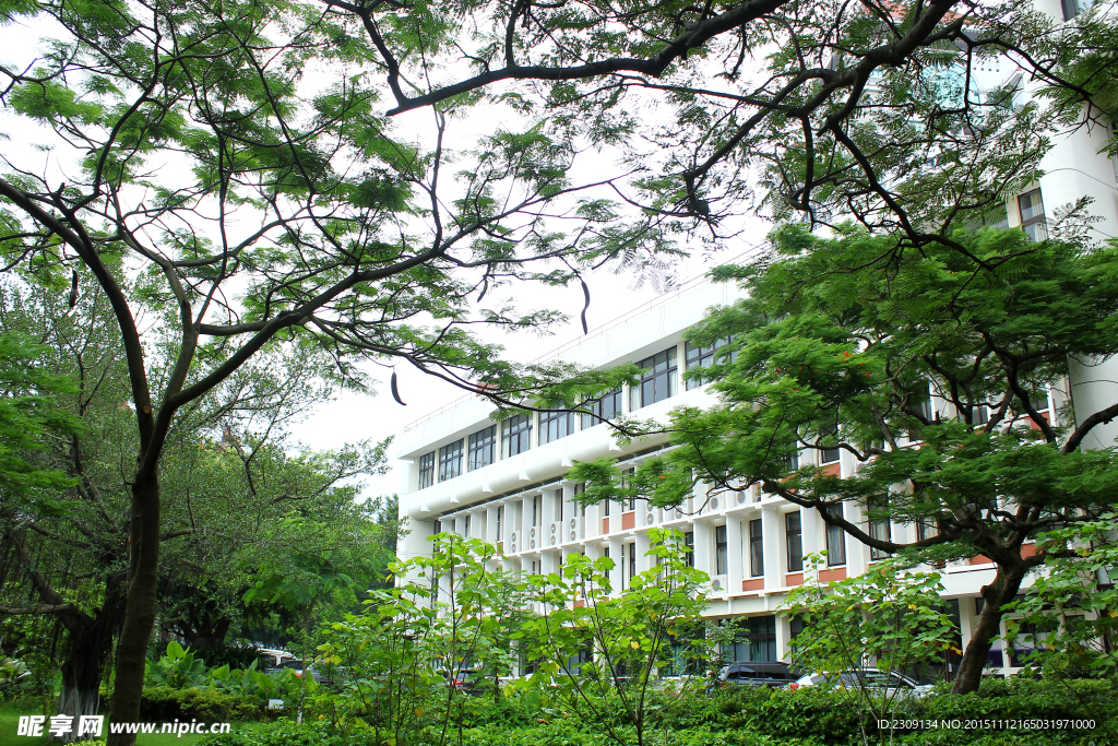 厦门大学