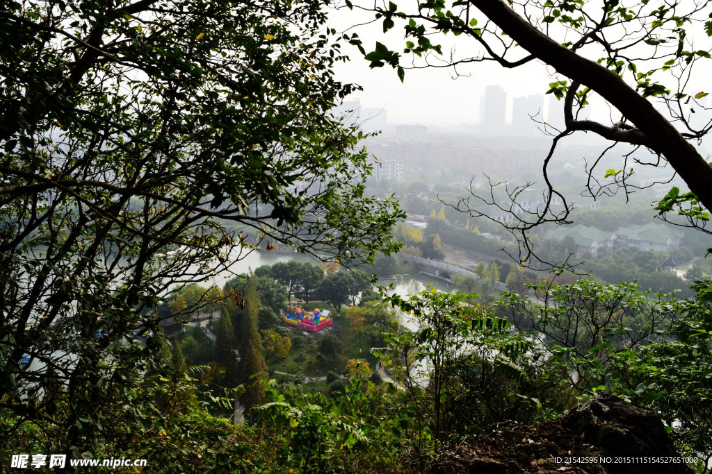 亭林公园鸟瞰图