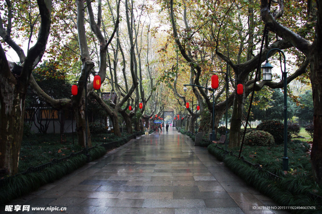秋雨中的红灯笼