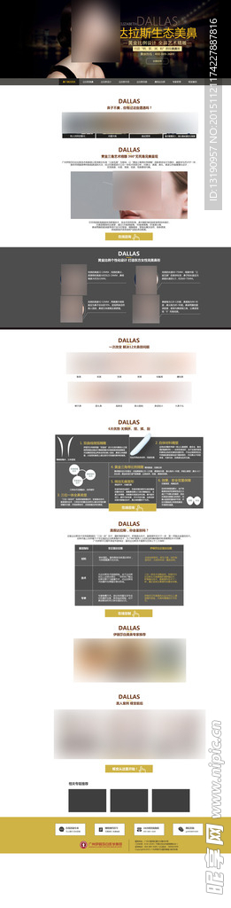 达拉斯专题