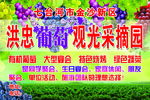 葡萄园宣传广告