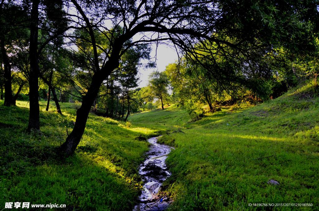 夏日东大沟风景