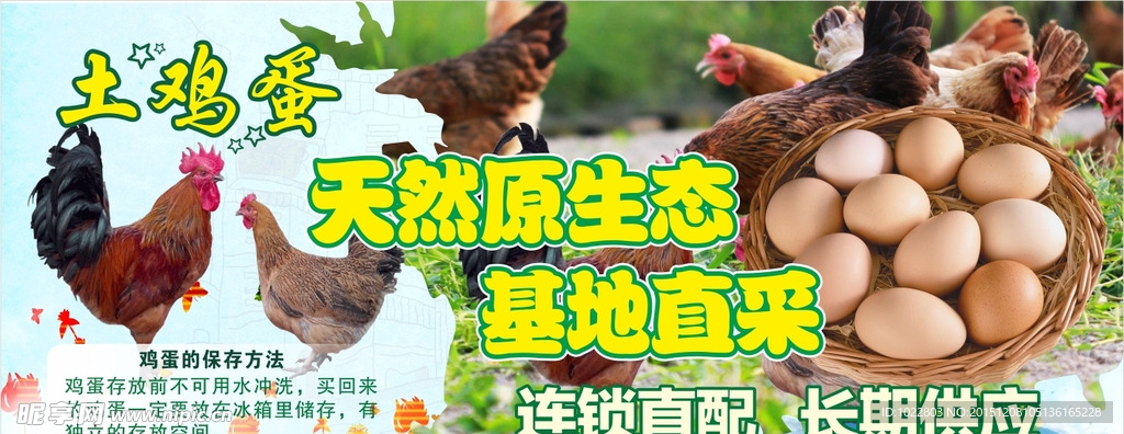基地直采鸡蛋