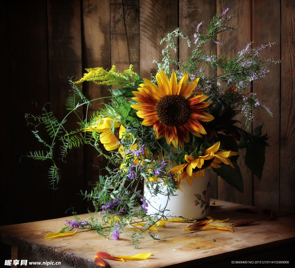 盆花 高清花图片