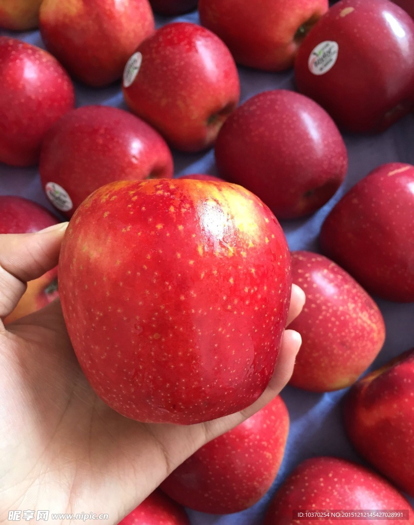 水果 红苹果