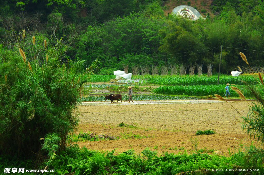 乡村田园 田园耕作