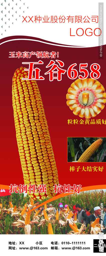 玉米五谷种业X展架