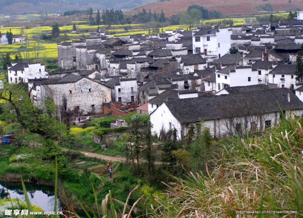 婺源乡村
