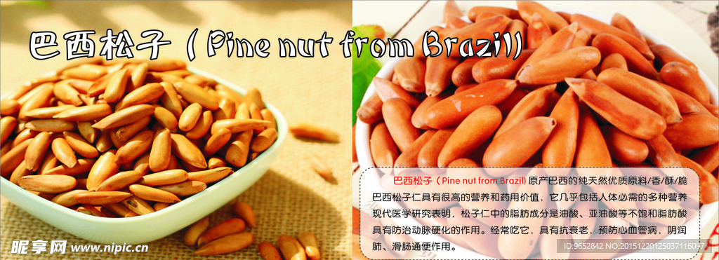 巴西松子