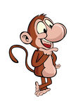 手绘 原创 卡通矢 猴子