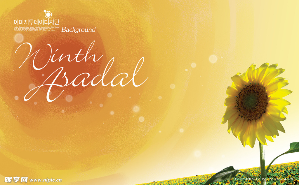 向日葵  夏日  风景