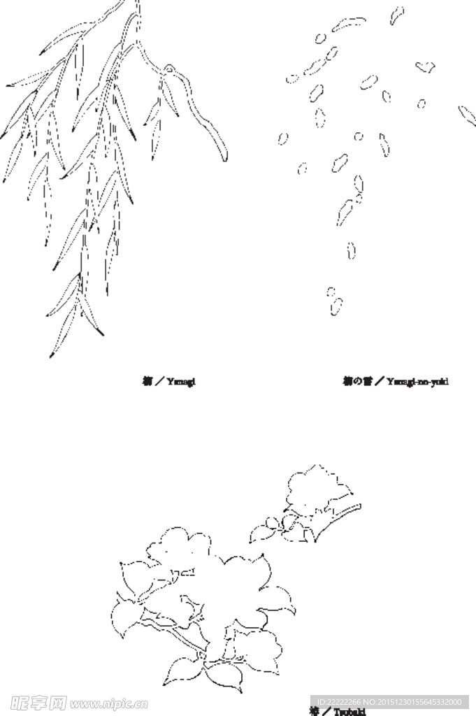 线描柳柳絮椿矢量素材