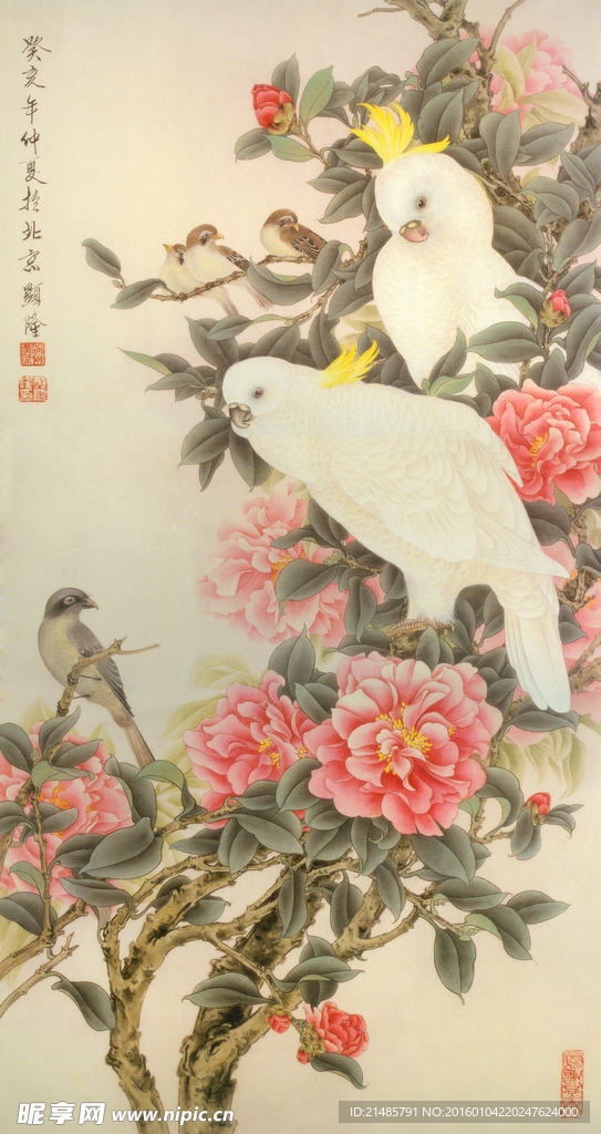 高清 中式 工笔 花鸟