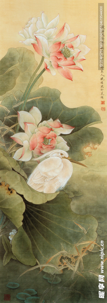 高清 中式 国画 荷花