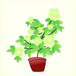 闲情逸致来栽花