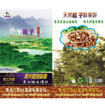 野生松子包装袋设计