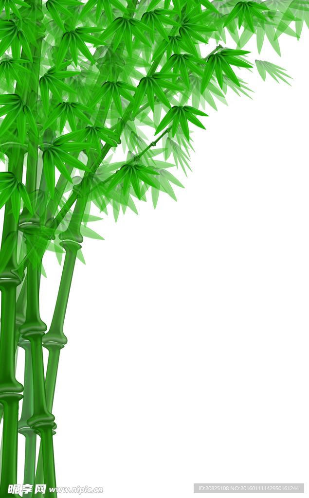 竹子图