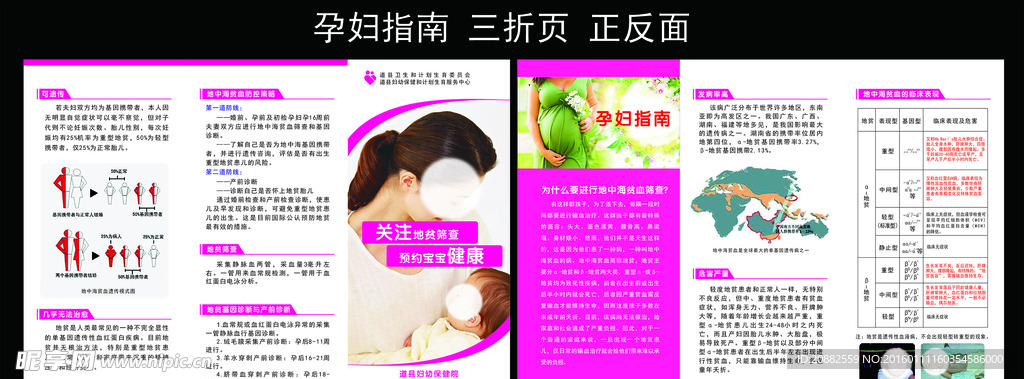 妇幼 地贫三折页