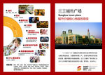 步行街DM单页