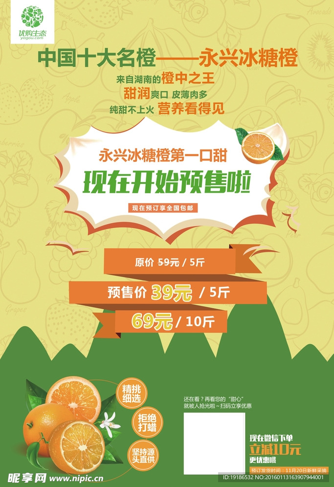 橙子宣传单 橙子传单