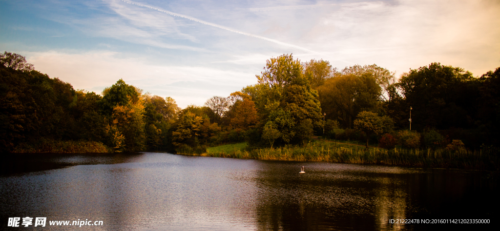 湖泊公园摄影