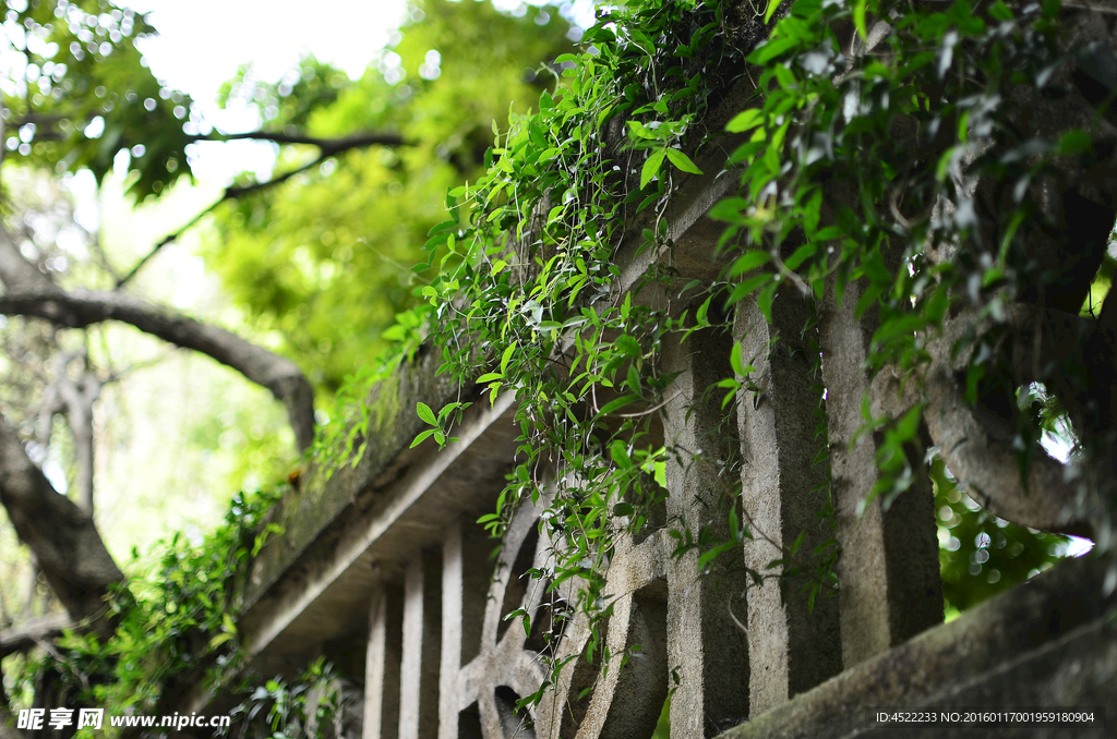 厦门鼓浪屿风景摄影图片