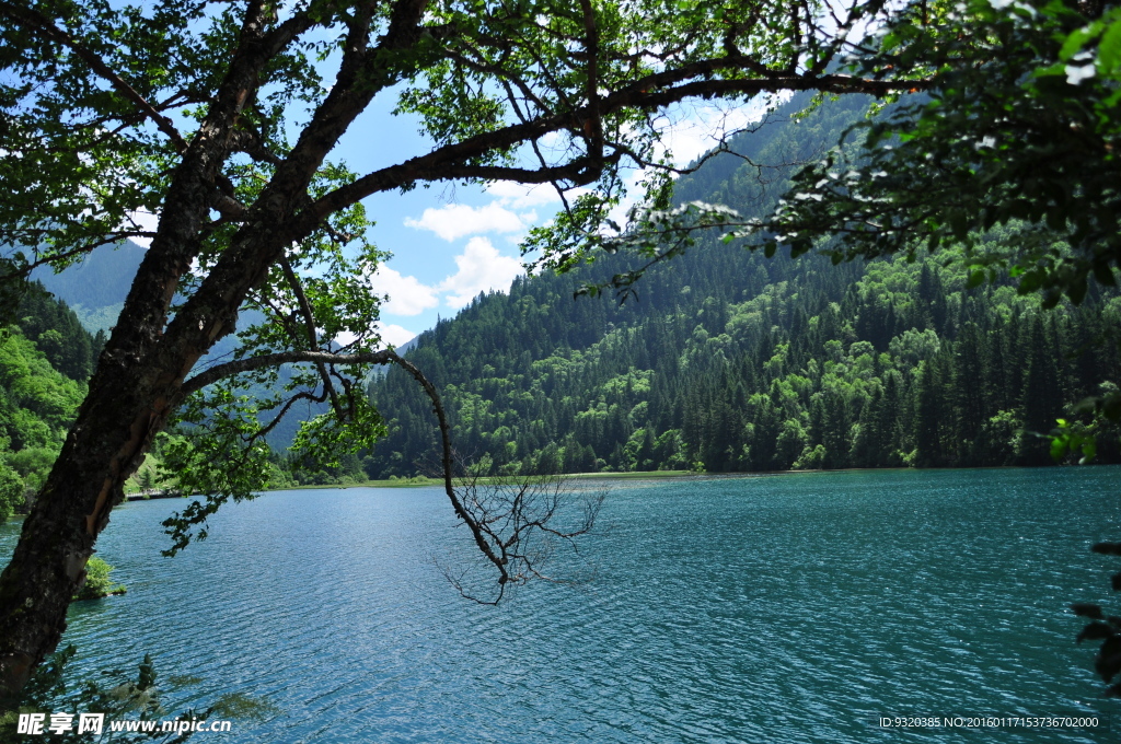 九寨沟 自然风景
