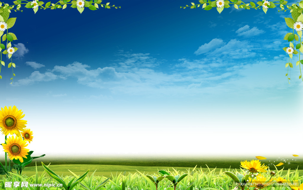 蓝天白云向日葵