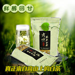 茶叶直通车主图