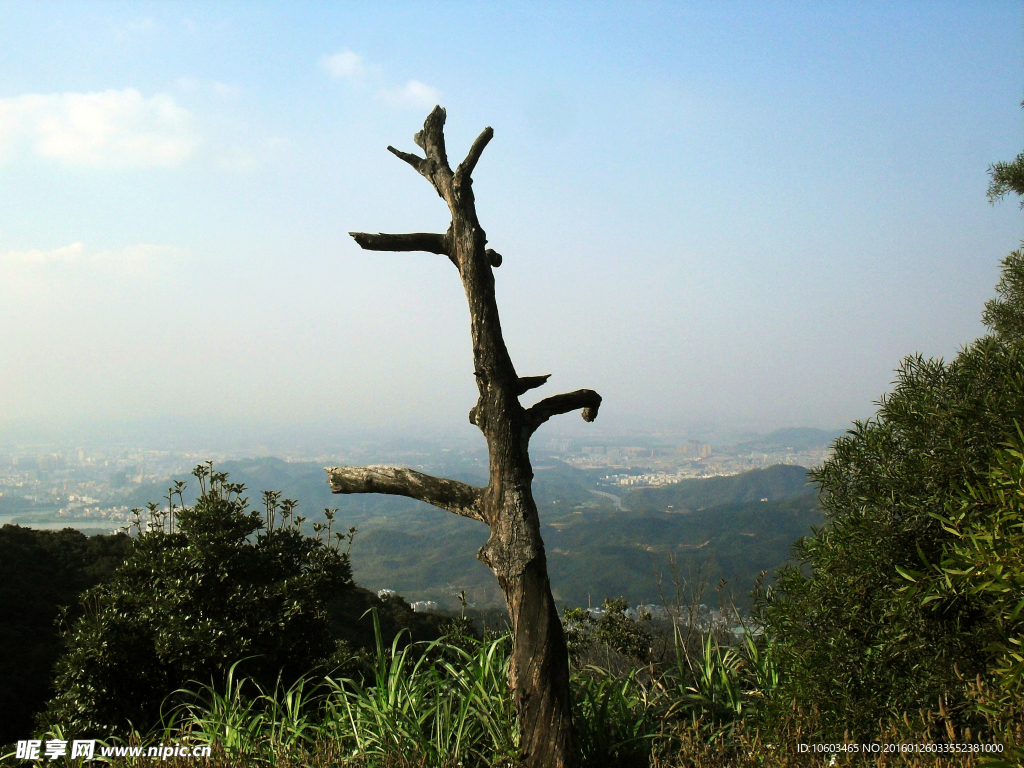 高山远眺 城市风光