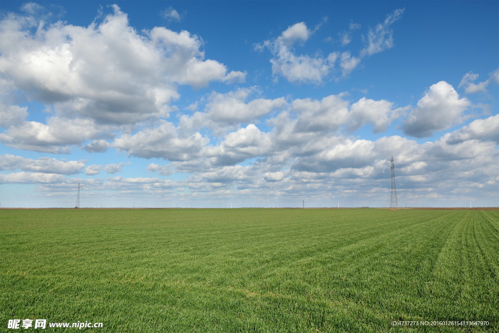 蓝天白云绿色草原高清