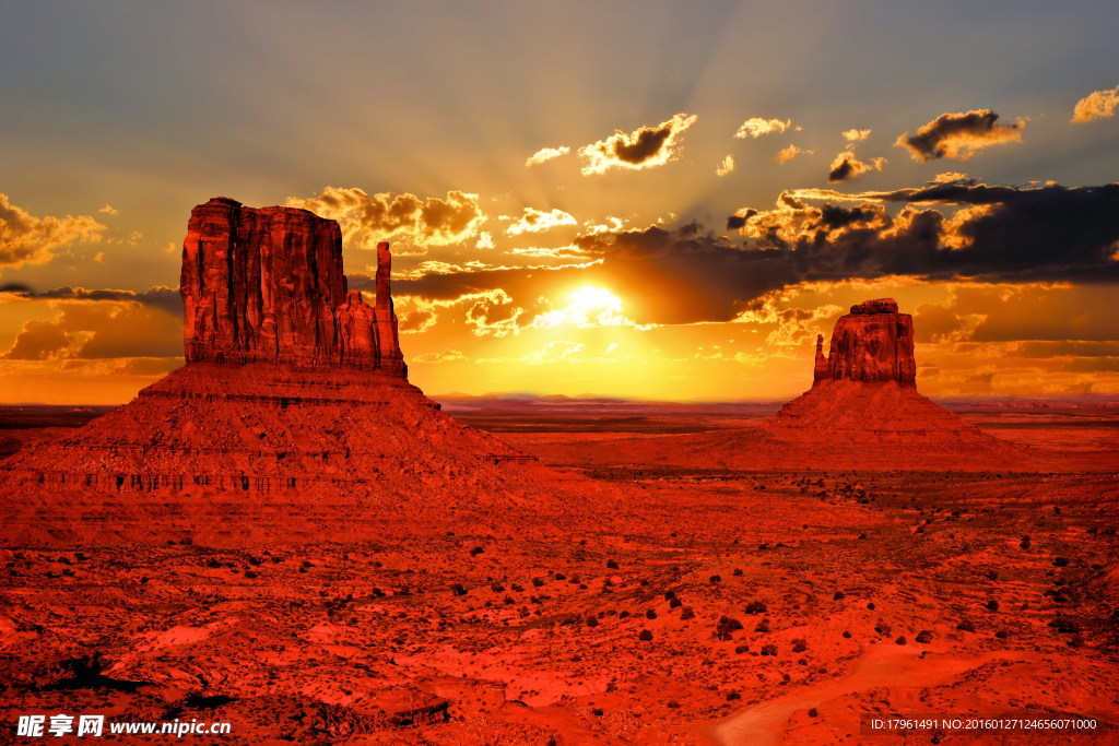 奥林匹克公园荒地