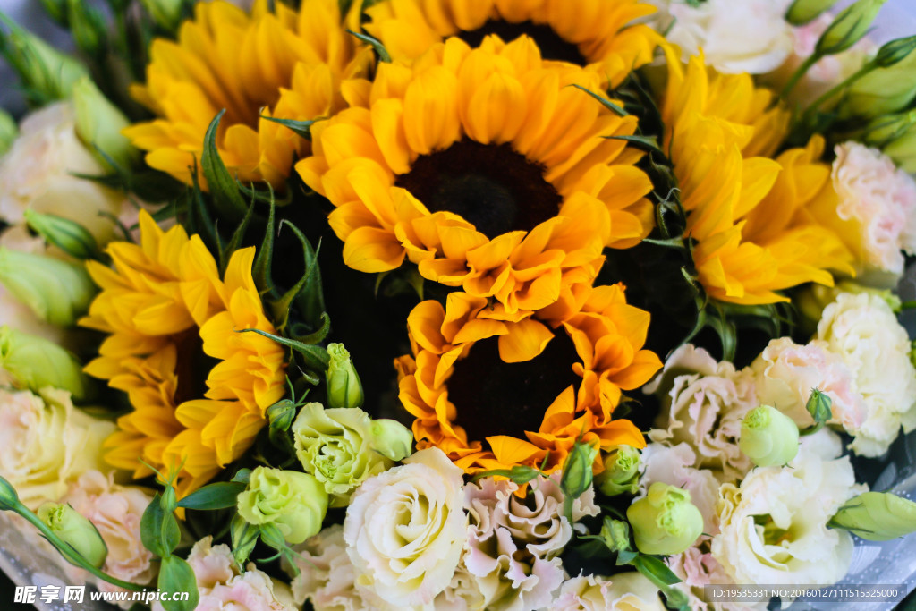 向日葵花束