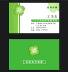 简约名片 苗圃 树苗 四叶草