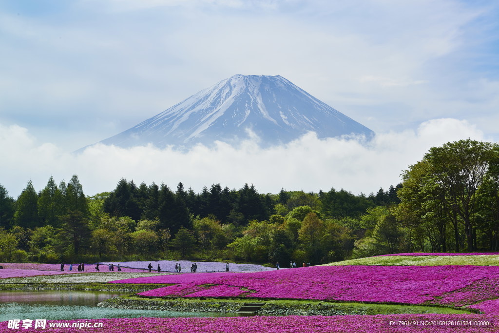 富士山下