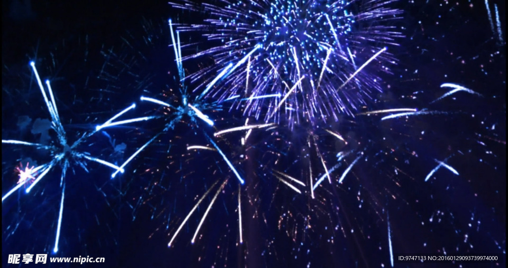 黑夜礼花绽放系列