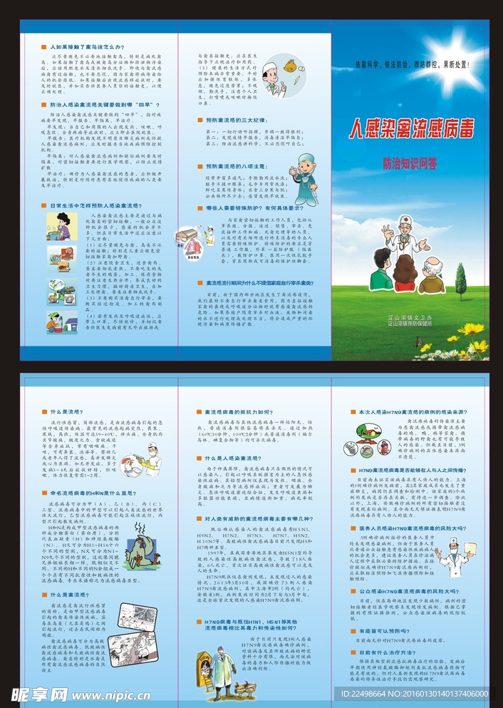 禽流感折页