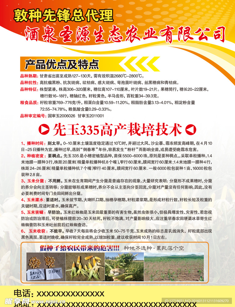玉米彩页