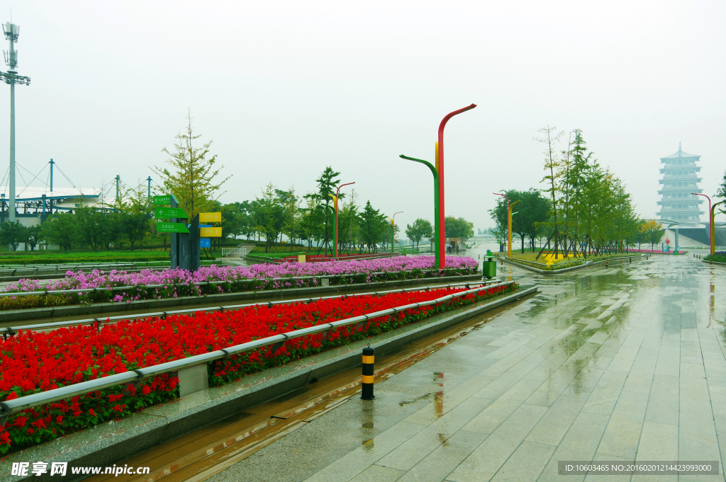 世博园林 园林博览