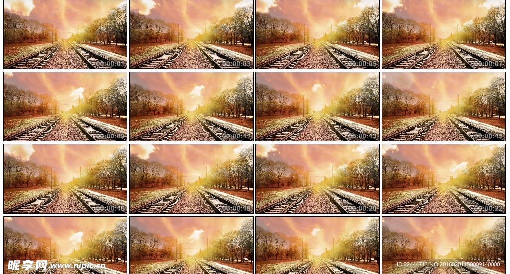 开往秋天的火车视频背景