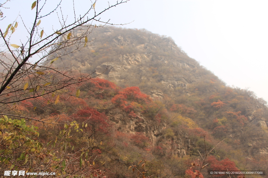 坡峰岭红叶