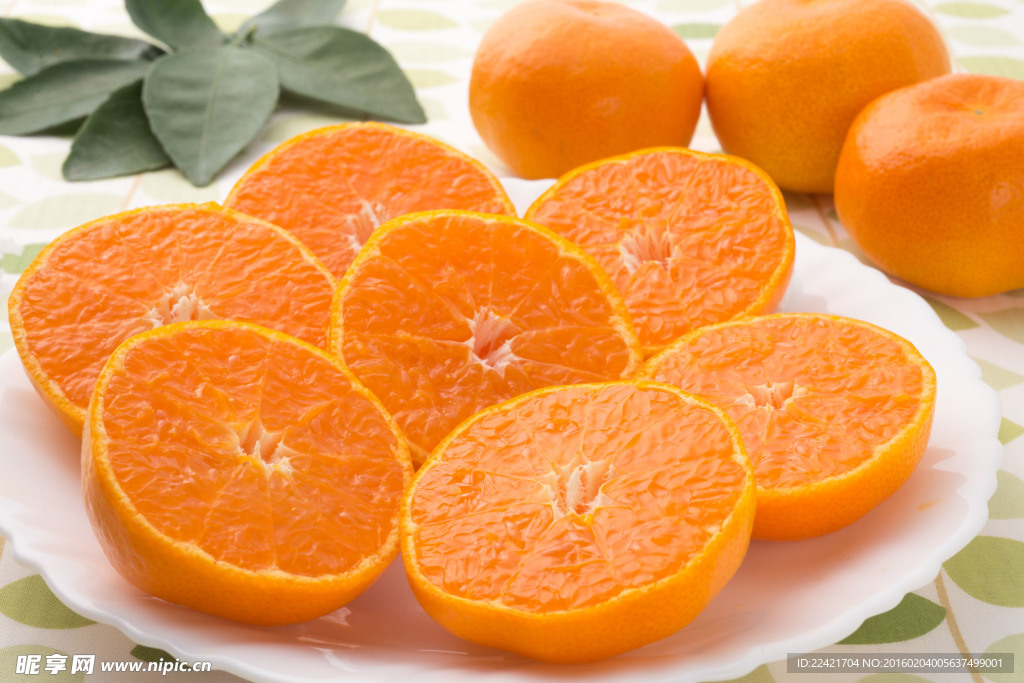 蒲江春见杷杷柑桔子