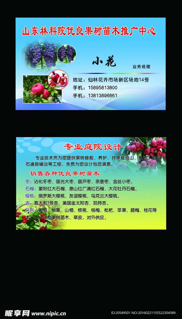 果树名片