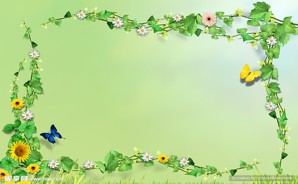 绿色花纹蝴蝶草地