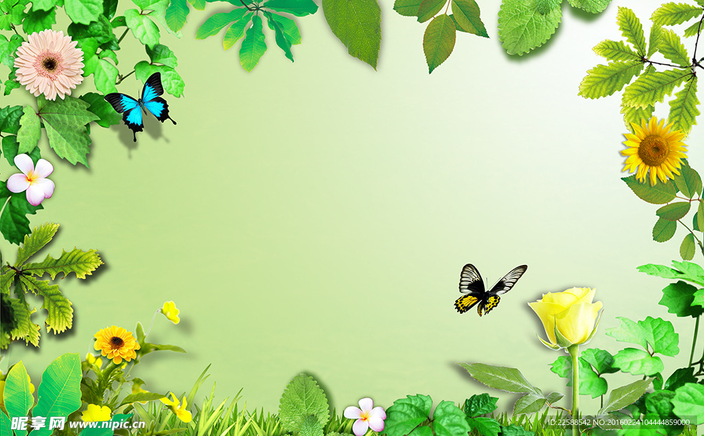 蝴蝶花卉背景