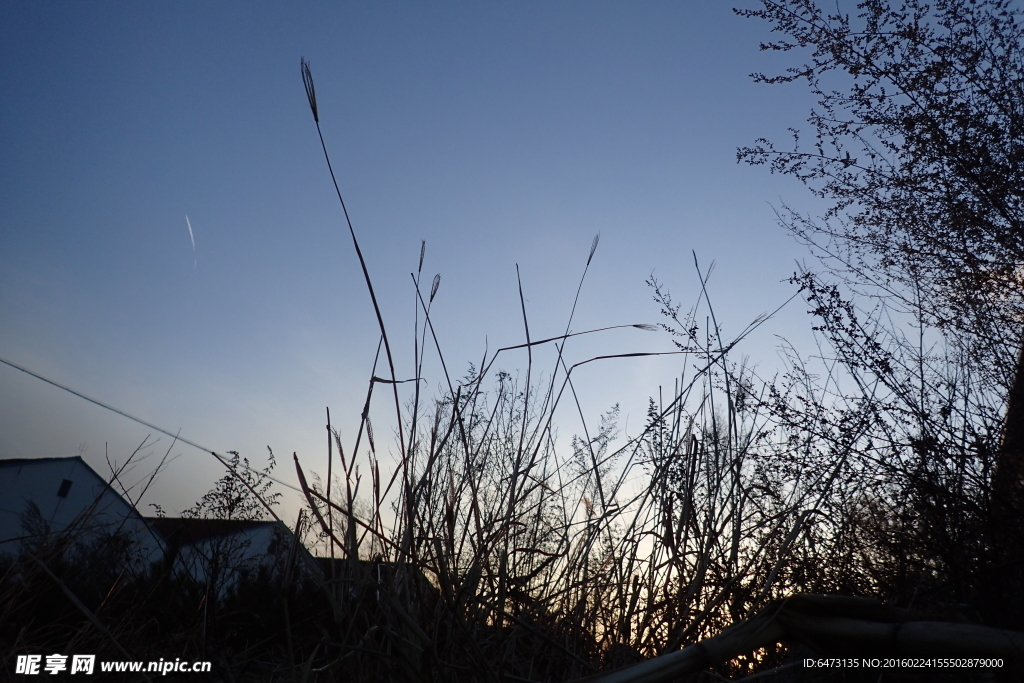 日暮时刻仰望天空
