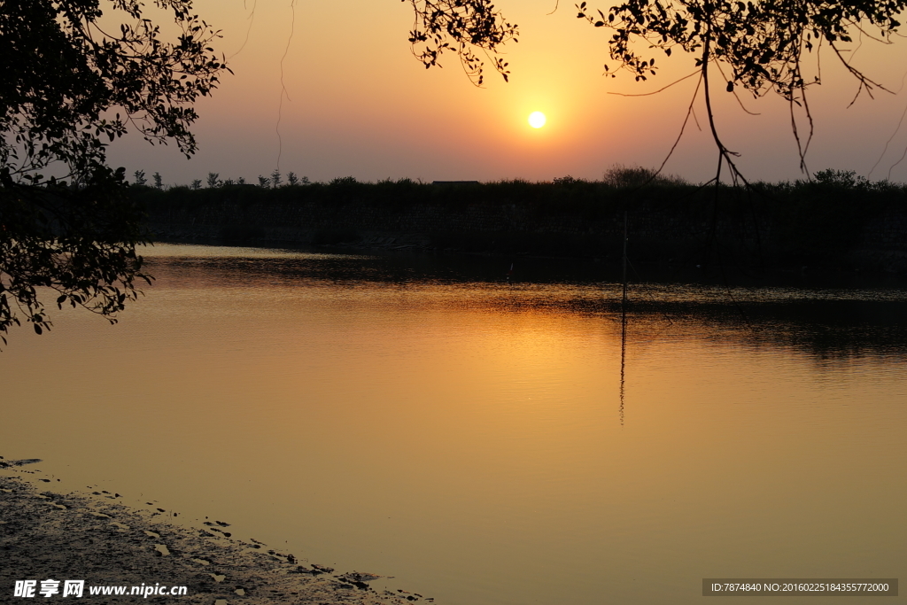 傍晚的南沙湿地公园